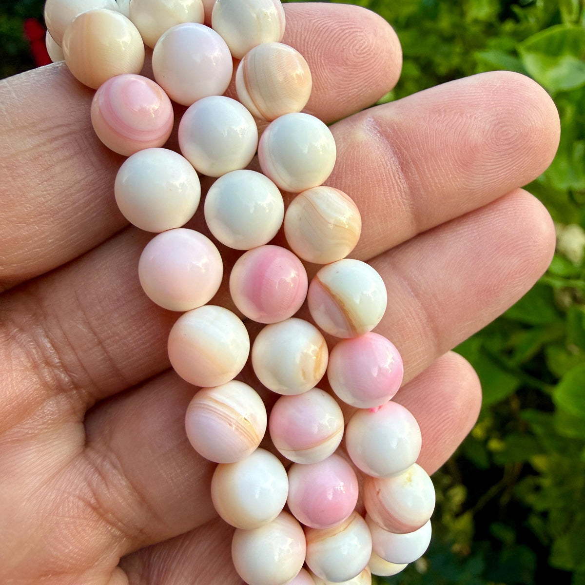Pink Conch Shell Bracelet — Soft Tide