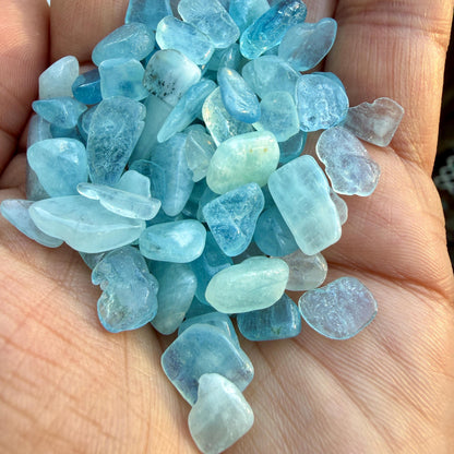 Aquamarine Chips – Aquamarine Crystal Chips | Chipped Aquamarine | Natural Aquamarine Stone Chips | Rough Aquamarine Chips