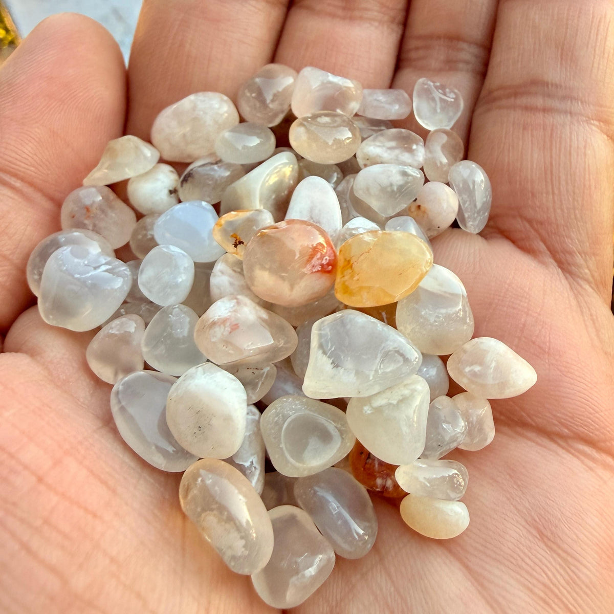 Flower Agate Chips – Chipped Flower Agate | Natural Flower Agate Stone Chips | Raw Flower Agate Chips | Rough Flower Agate Chips
