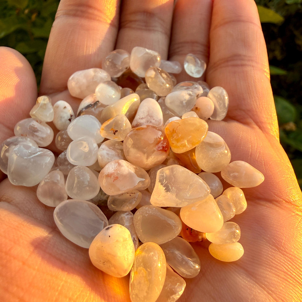 Flower Agate Chips – Chipped Flower Agate | Natural Flower Agate Stone Chips | Raw Flower Agate Chips | Rough Flower Agate Chips