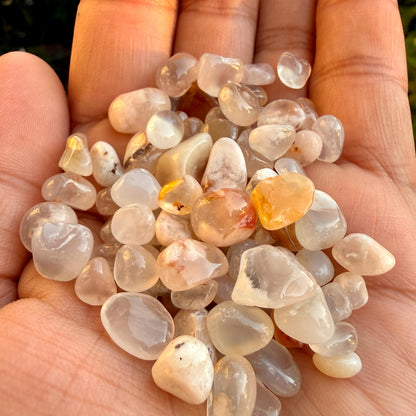 Flower Agate Chips – Chipped Flower Agate | Natural Flower Agate Stone Chips | Raw Flower Agate Chips | Rough Flower Agate Chips