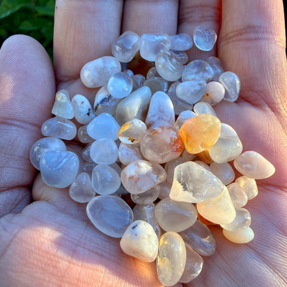 Flower Agate Chips – Chipped Flower Agate | Natural Flower Agate Stone Chips | Raw Flower Agate Chips | Rough Flower Agate Chips