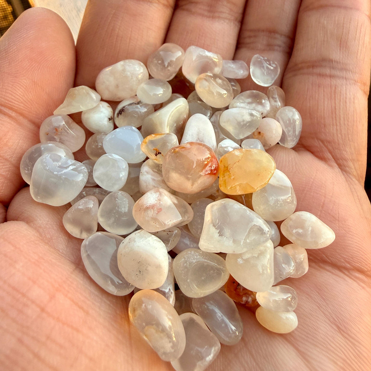 Flower Agate Chips – Chipped Flower Agate | Natural Flower Agate Stone Chips | Raw Flower Agate Chips | Rough Flower Agate Chips