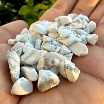 Howlite Chips – Howlite Crystal Chips | Chipped Howlite | Natural White Howlite Stone Chips | Raw Howlite Chips | Rough Howlite Chips