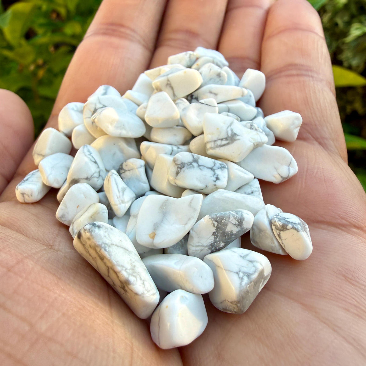 Howlite Chips – Howlite Crystal Chips | Chipped Howlite | Natural White Howlite Stone Chips | Raw Howlite Chips | Rough Howlite Chips