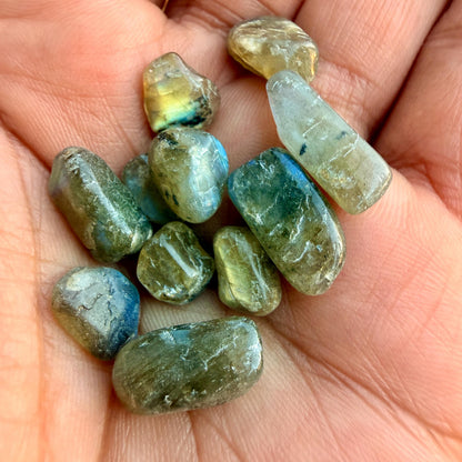 Labradorite Chips – Chipped Labradorite | Natural Labradorite Chips | Blue Labradorite Stone Chips | Raw Labradorite Chips