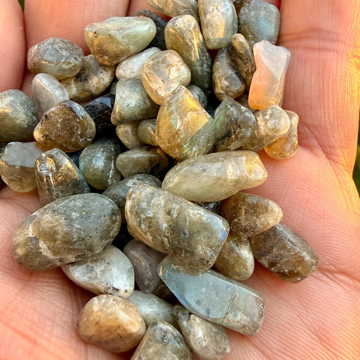 Labradorite Chips – Chipped Labradorite | Natural Labradorite Chips | Blue Labradorite Stone Chips | Raw Labradorite Chips