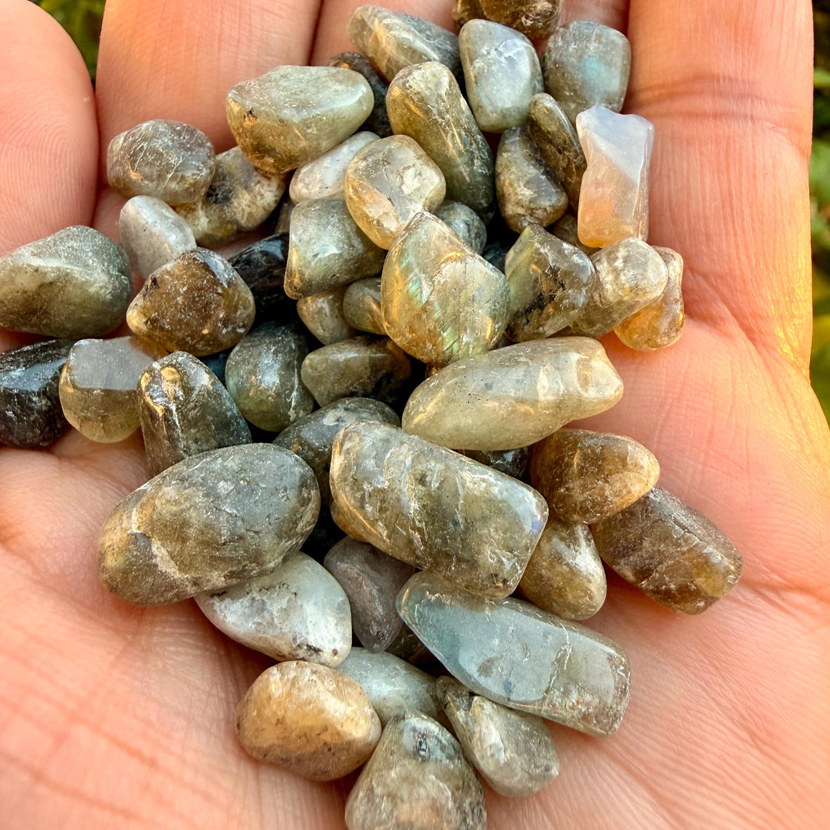 Labradorite Chips – Chipped Labradorite | Natural Labradorite Chips | Blue Labradorite Stone Chips | Raw Labradorite Chips