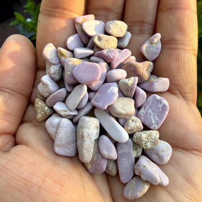 Lepidolite Chips – Lepidolite Gemstone Chips | Chipped Lepidolite | Natural Lepidolite Stone Chips | Raw Lepidolite Chips