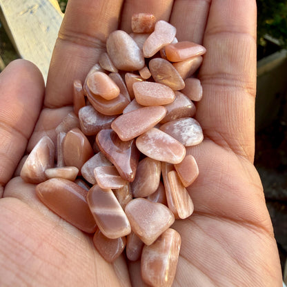 Peach Moonstone Chips – Chipped Peach Moonstone | Natural Peach Moonstone Stone Chips | Raw Peach Moonstone Chips