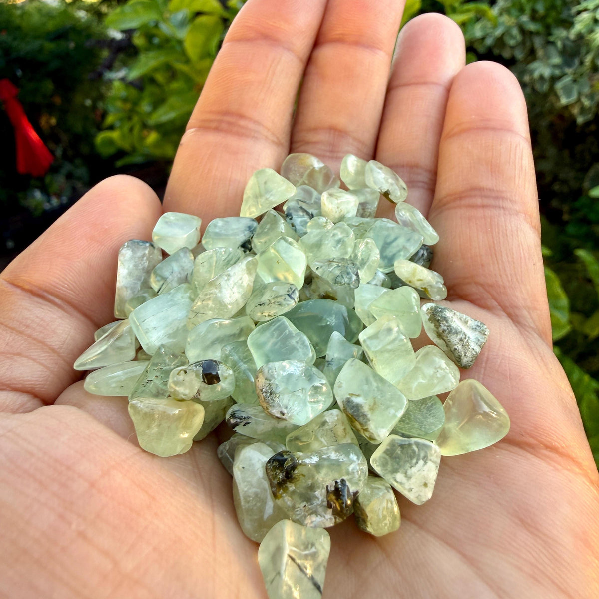 Prehnite Chips – Prehnite Crystal Chips | Chipped Prehnite | Natural Green Prehnite Stone Chips | Raw Prehnite Chips | Rough Prehnite Chips