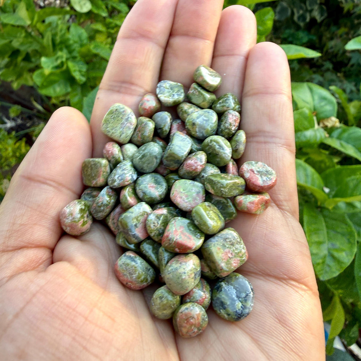 Unakite Chips – Chipped Unakite | Natural Unakite Stone Chips | Raw Unakite Chips | Rough Unakite Chips | Pink Green Unakite Chips