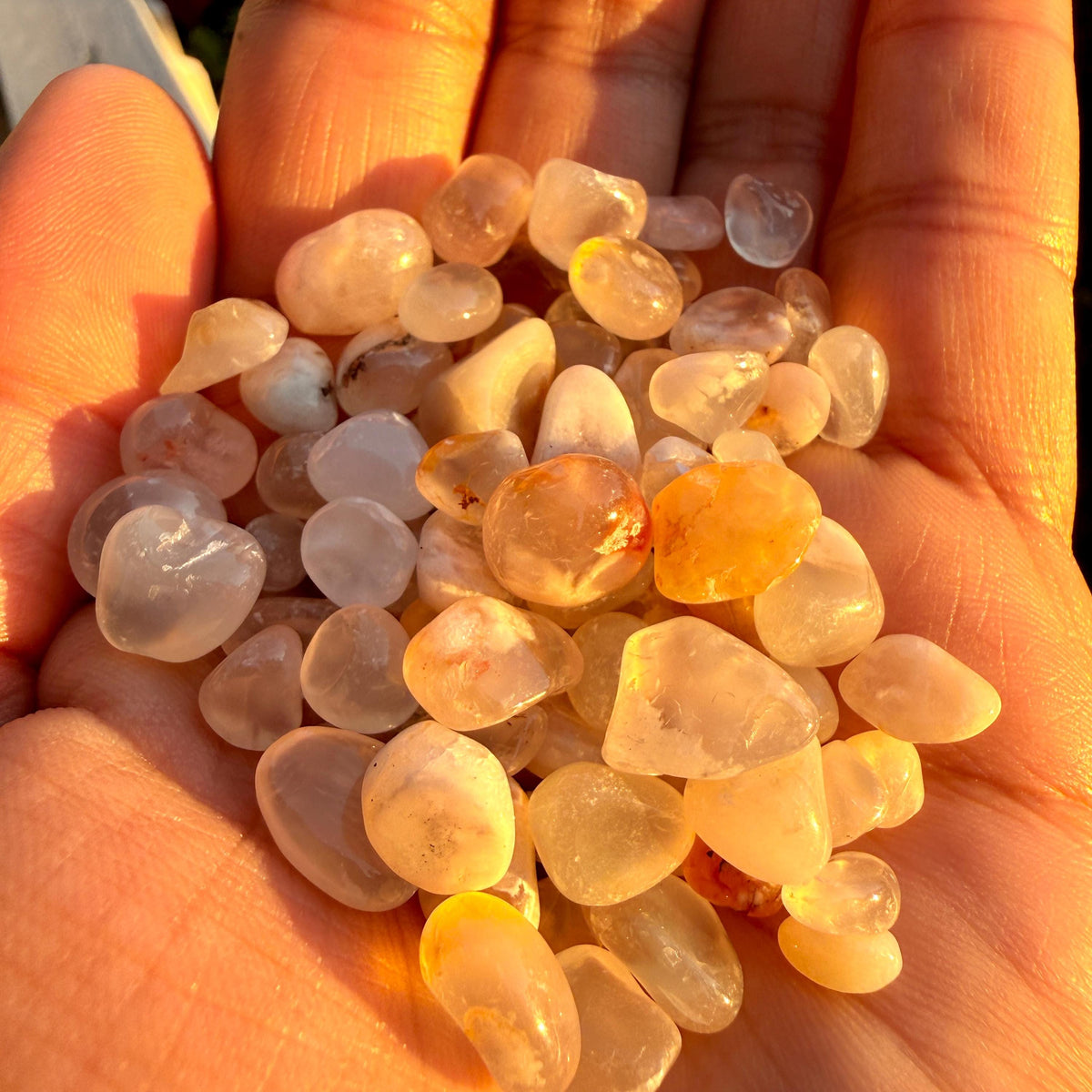 Flower Agate Chips – Chipped Flower Agate | Natural Flower Agate Stone Chips | Raw Flower Agate Chips | Rough Flower Agate Chips