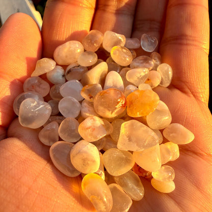 Flower Agate Chips – Chipped Flower Agate | Natural Flower Agate Stone Chips | Raw Flower Agate Chips | Rough Flower Agate Chips