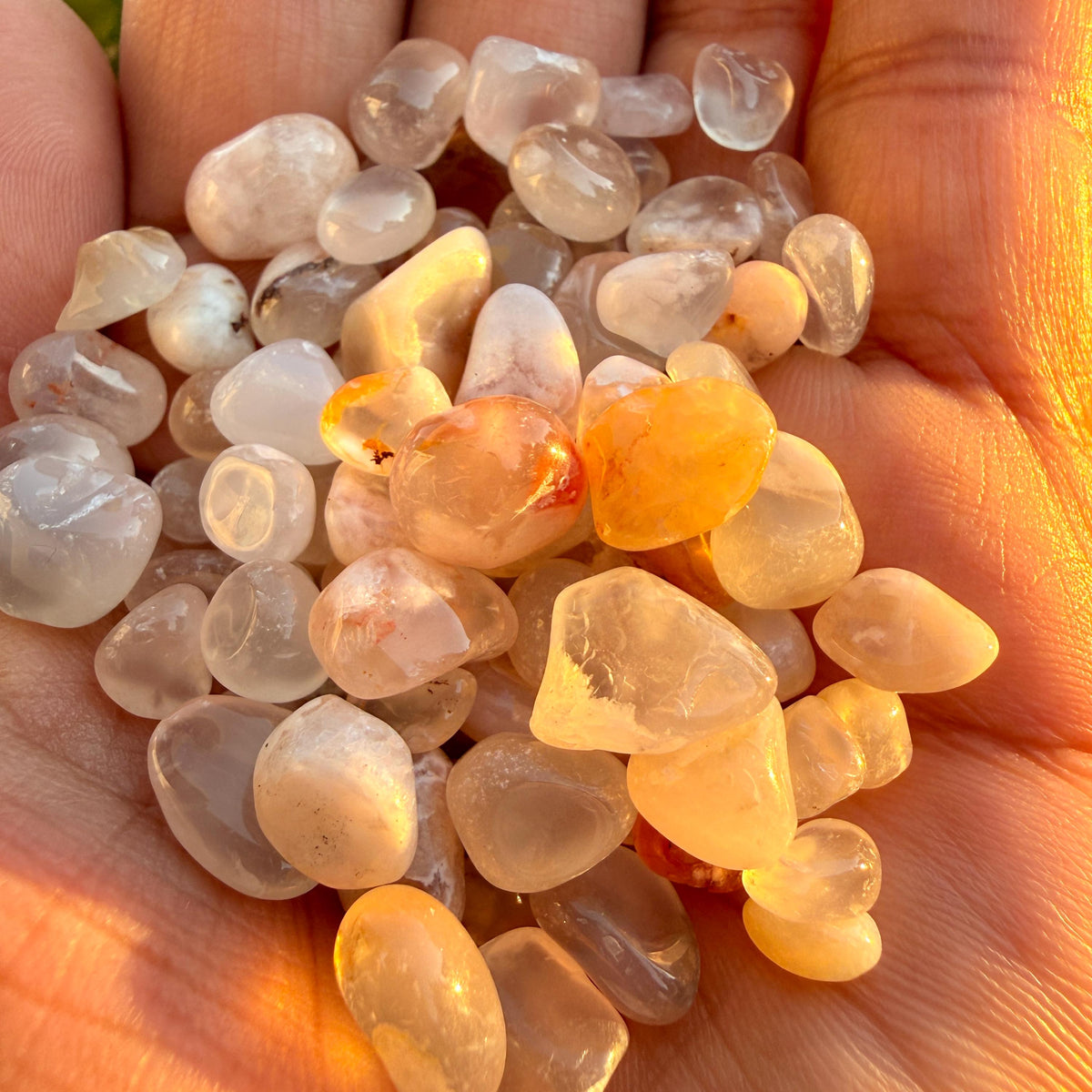 Flower Agate Chips – Chipped Flower Agate | Natural Flower Agate Stone Chips | Raw Flower Agate Chips | Rough Flower Agate Chips
