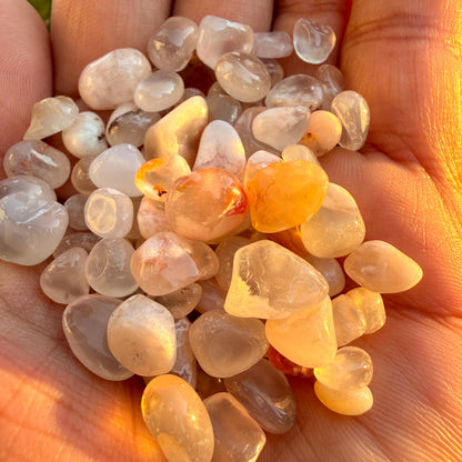 Flower Agate Chips – Chipped Flower Agate | Natural Flower Agate Stone Chips | Raw Flower Agate Chips | Rough Flower Agate Chips