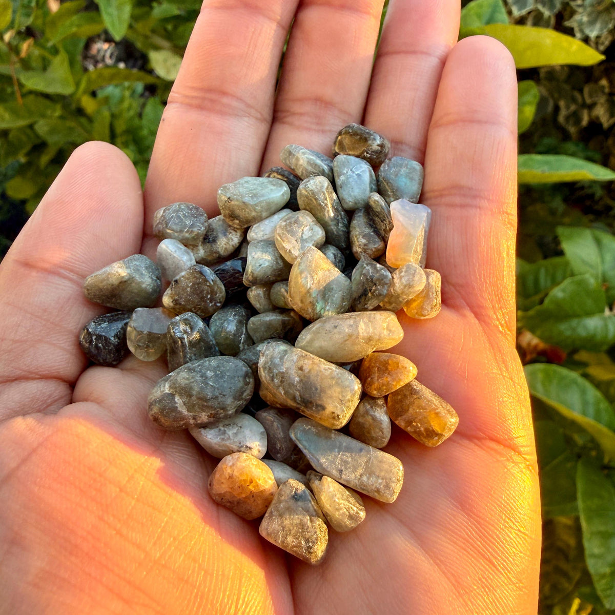 Labradorite Chips – Chipped Labradorite | Natural Labradorite Chips | Blue Labradorite Stone Chips | Raw Labradorite Chips
