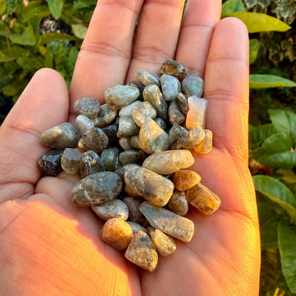 Labradorite Chips – Chipped Labradorite | Natural Labradorite Chips | Blue Labradorite Stone Chips | Raw Labradorite Chips