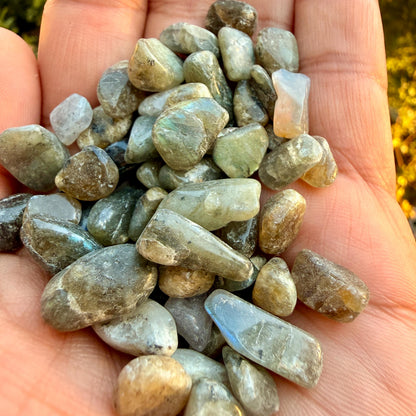 Labradorite Chips – Chipped Labradorite | Natural Labradorite Chips | Blue Labradorite Stone Chips | Raw Labradorite Chips