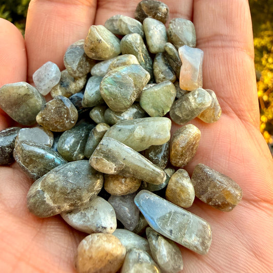 Labradorite Chips – Chipped Labradorite | Natural Labradorite Chips | Blue Labradorite Stone Chips | Raw Labradorite Chips