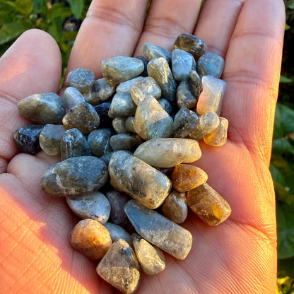 Labradorite Chips – Chipped Labradorite | Natural Labradorite Chips | Blue Labradorite Stone Chips | Raw Labradorite Chips
