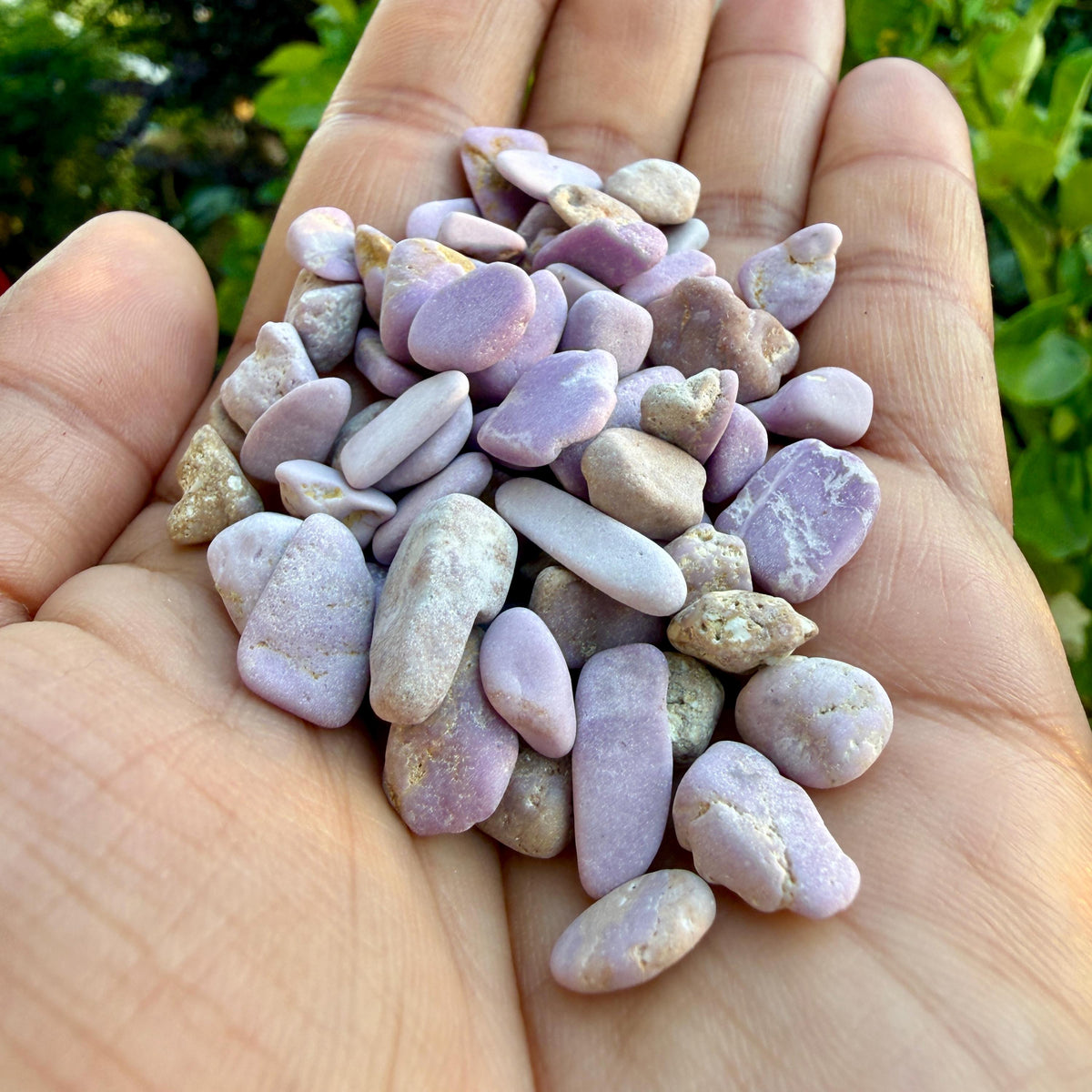 Lepidolite Chips – Lepidolite Gemstone Chips | Chipped Lepidolite | Natural Lepidolite Stone Chips | Raw Lepidolite Chips