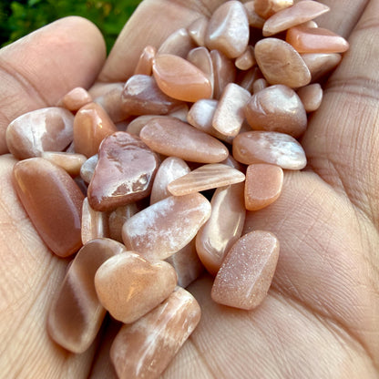 Peach Moonstone Chips – Chipped Peach Moonstone | Natural Peach Moonstone Stone Chips | Raw Peach Moonstone Chips