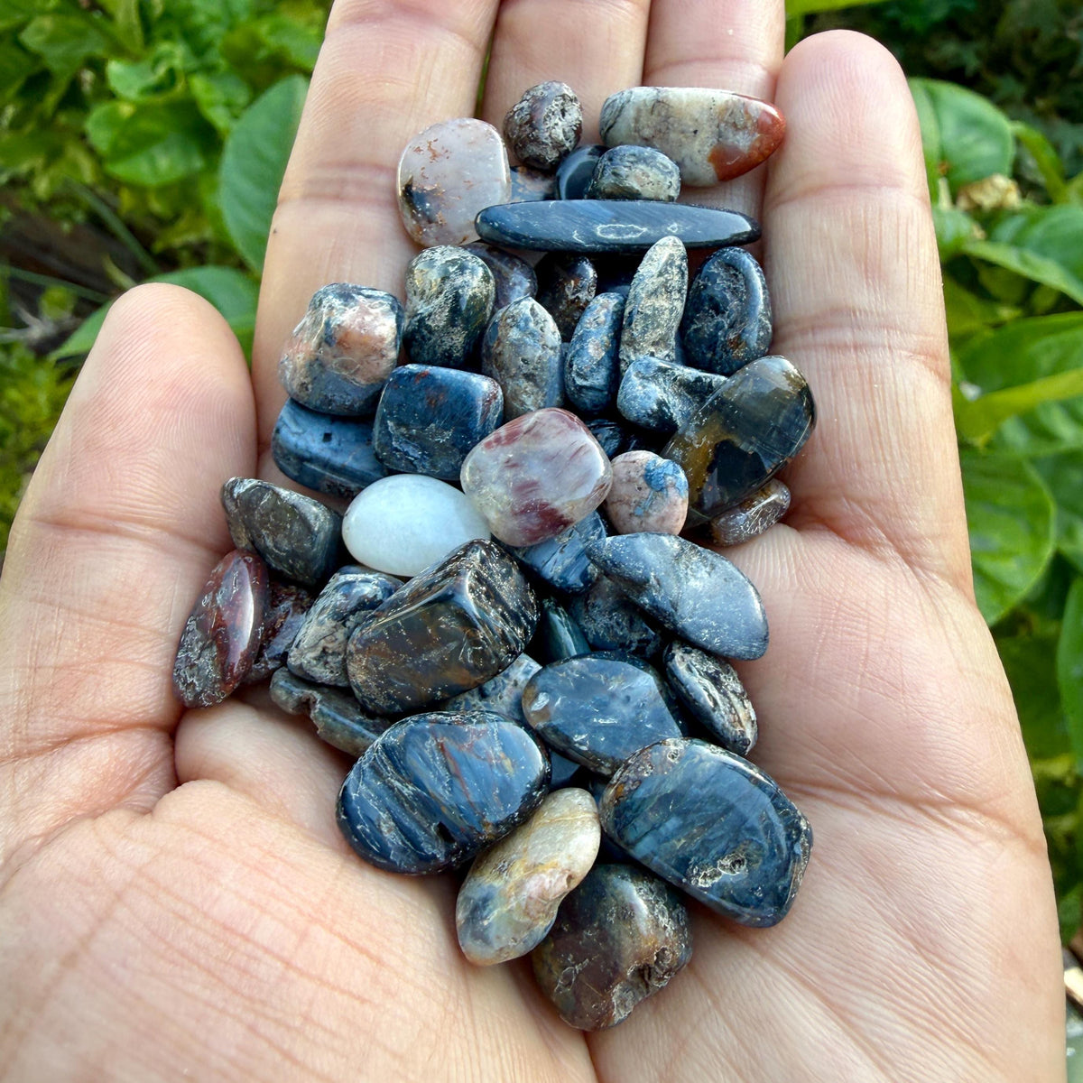 Pietersite Chips – Chipped Pietersite | Natural Pietersite Stone Chips | Blue Gold Pietersite Chips | Raw Pietersite Chips