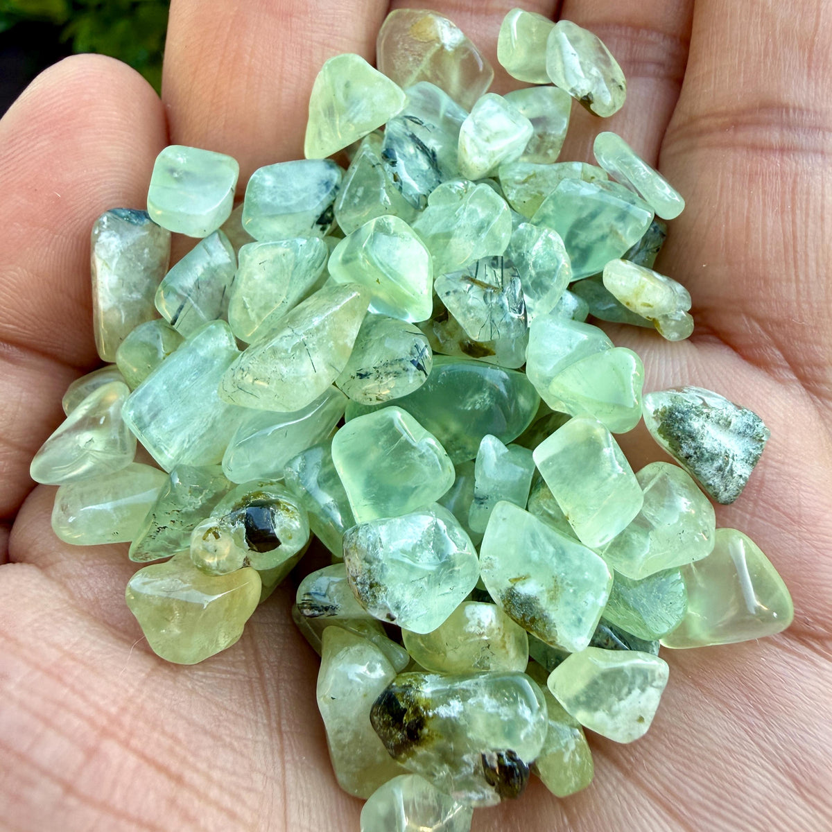 Prehnite Chips – Prehnite Crystal Chips | Chipped Prehnite | Natural Green Prehnite Stone Chips | Raw Prehnite Chips | Rough Prehnite Chips