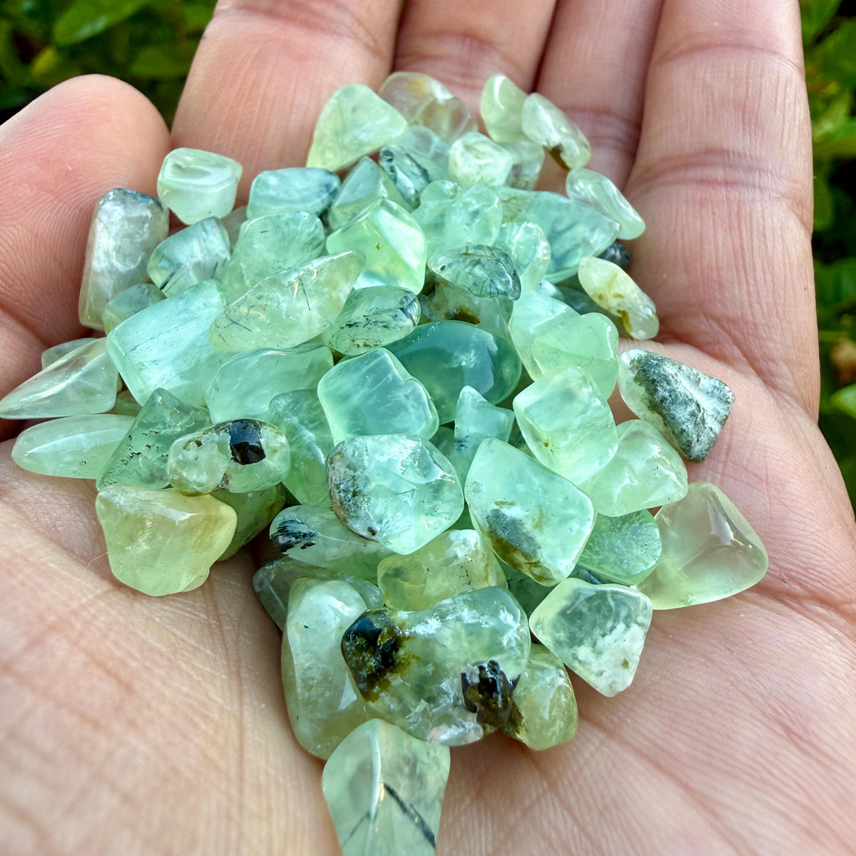 Prehnite Chips – Prehnite Crystal Chips | Chipped Prehnite | Natural Green Prehnite Stone Chips | Raw Prehnite Chips | Rough Prehnite Chips