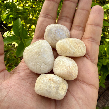 White Moonstone Tumbled Stone — Quiet Intuition