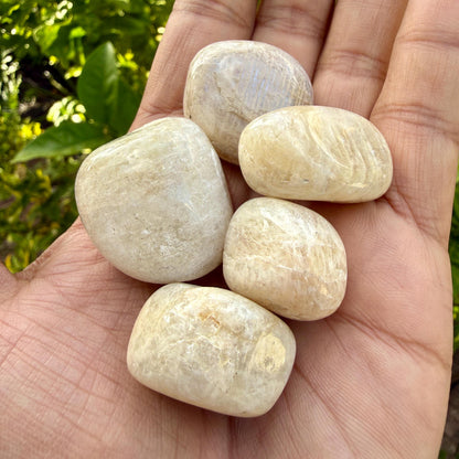White Moonstone Tumbled Stone — Quiet Intuition