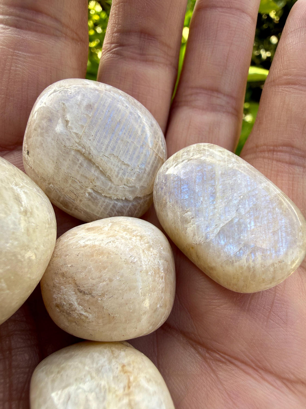 White Moonstone Tumbled Stone — Quiet Intuition