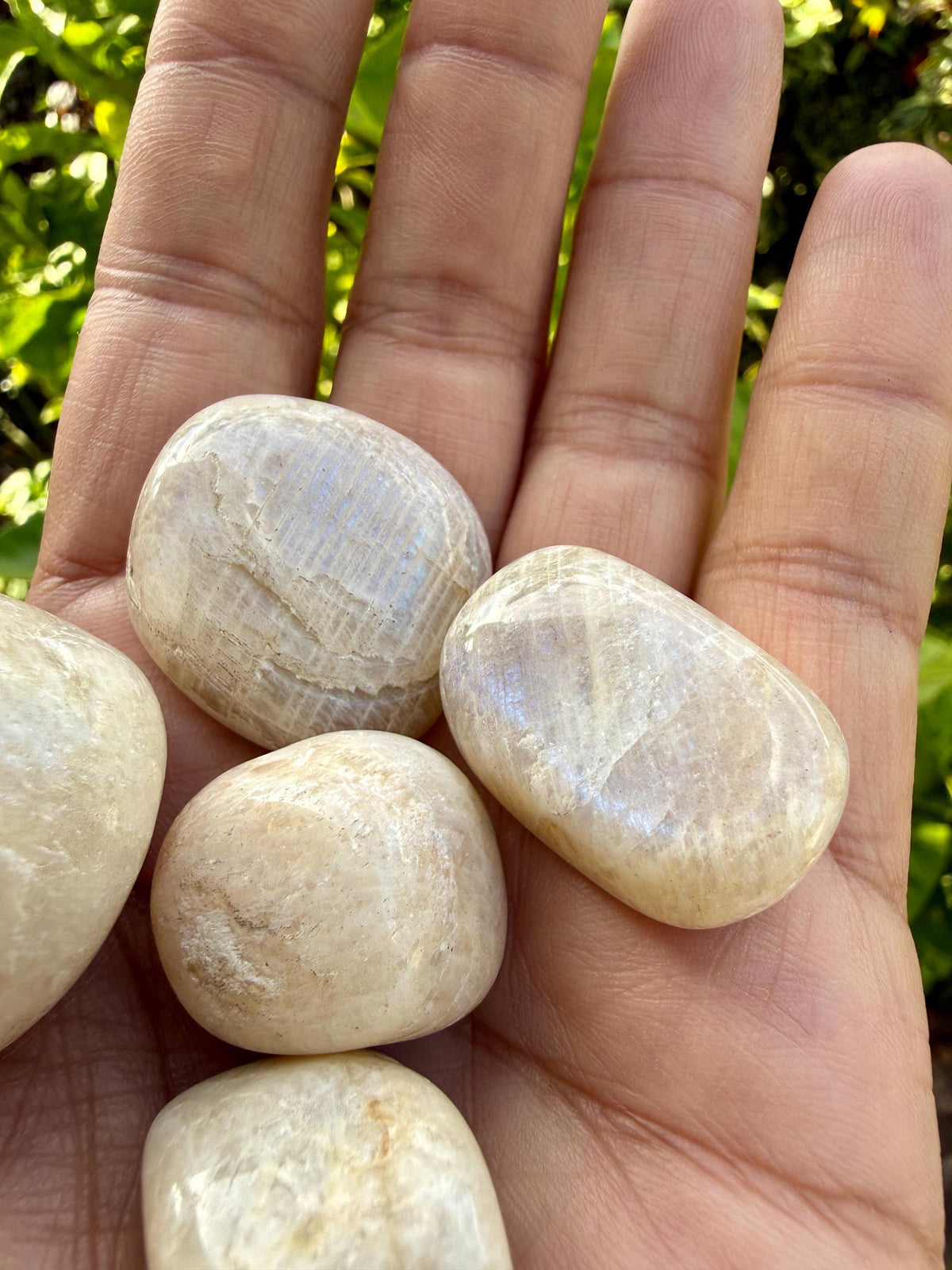 White Moonstone Tumbled Stone — Quiet Intuition