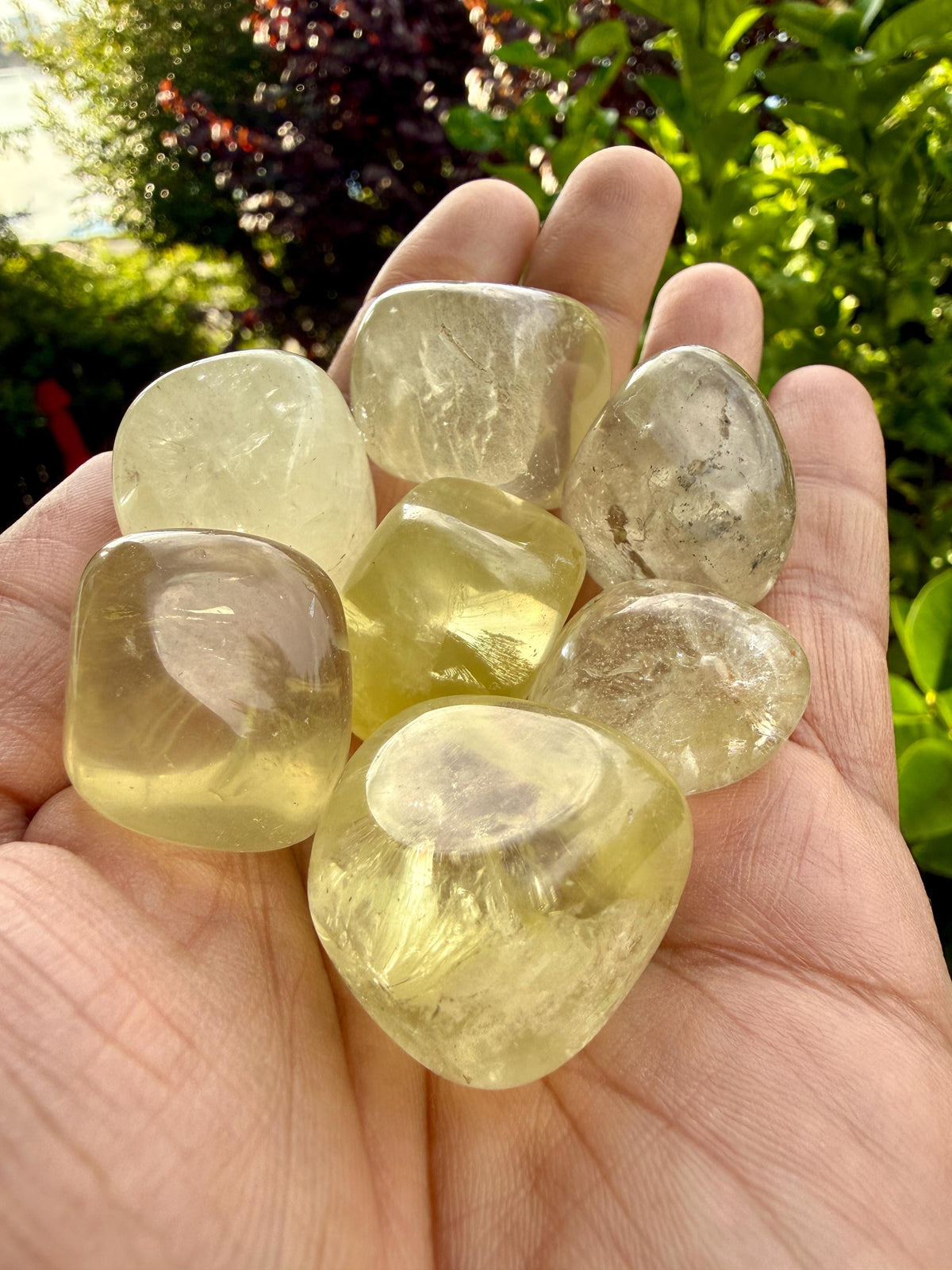 Lemon Citrine Tumbled Stone