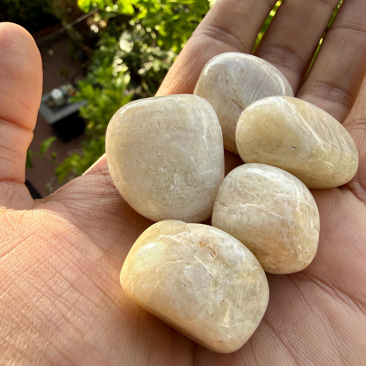 White Moonstone Tumbled Stone — Quiet Intuition