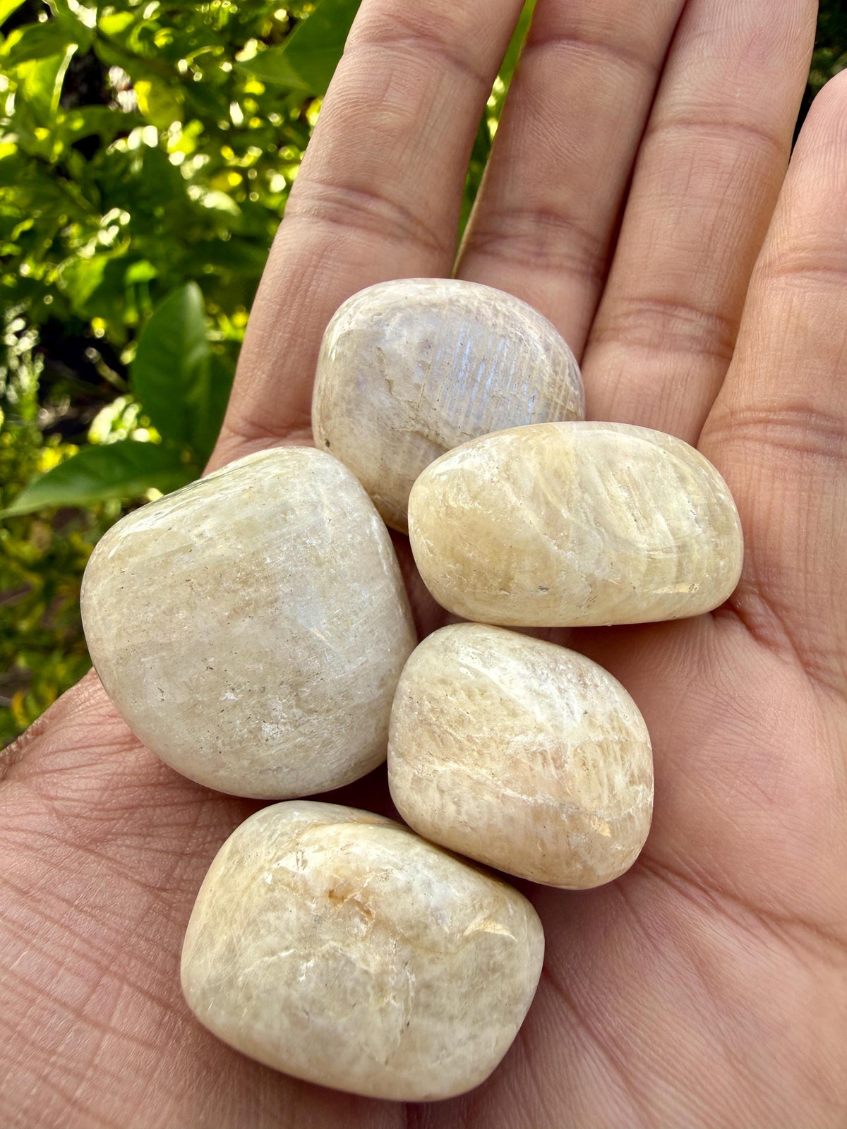 White Moonstone Tumbled Stone — Quiet Intuition