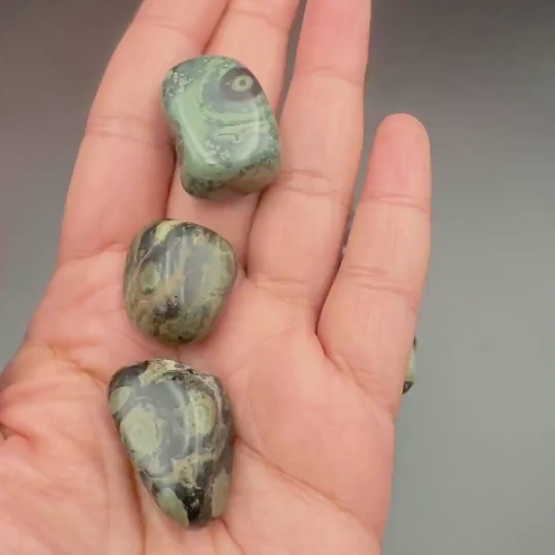 Kambaba Jasper Tumbled Stone — Grounding & Balance