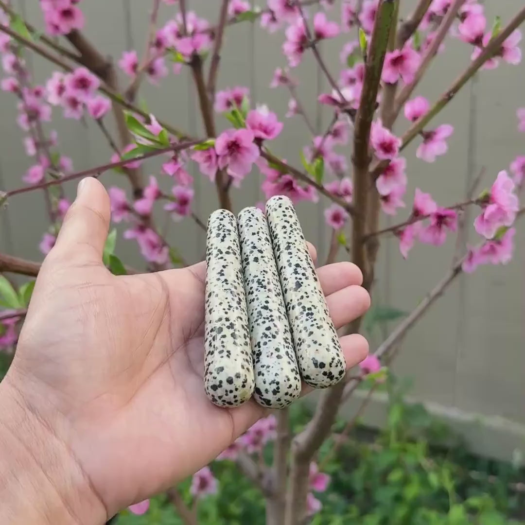 Dalmatian Jasper Wand — Grounding & Joy