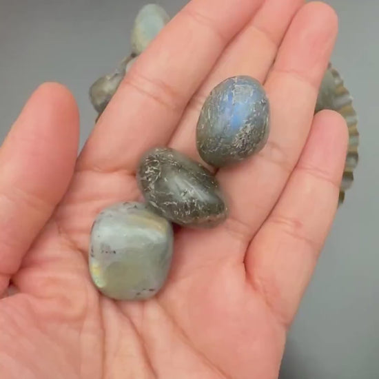 Labradorite Tumbled Stone — Intuition & Protection