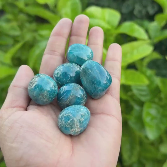 Blue Apatite Tumbled Stone — Clarity & Focus